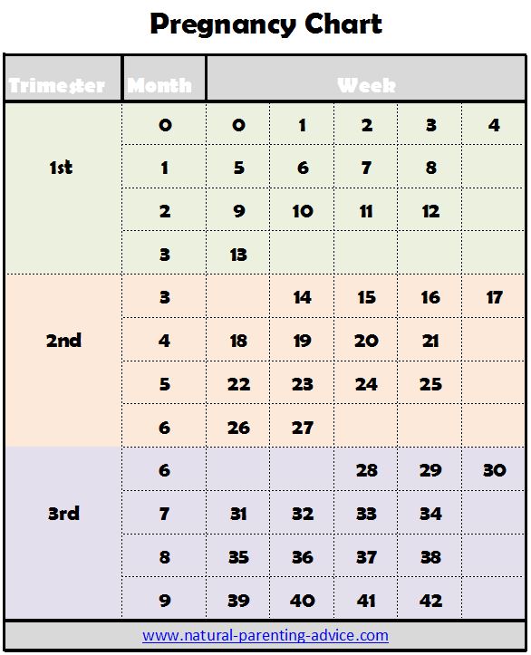 Pregnancy Weeks And Months Chart