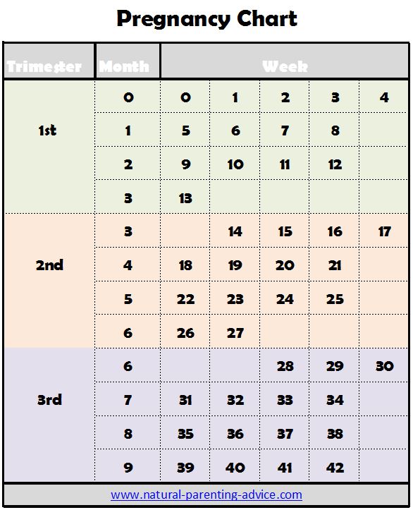 Pregnancy Trimester Weeks Chart