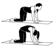pregnancy exercises