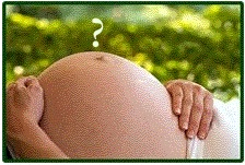 Pregnancy Questions
