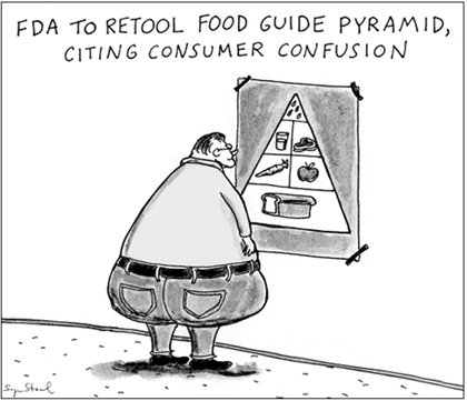 USDA Food Pyramid is Unhealthy