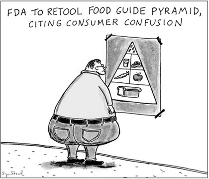 FDA Food Pyramid is UNHEALTHY