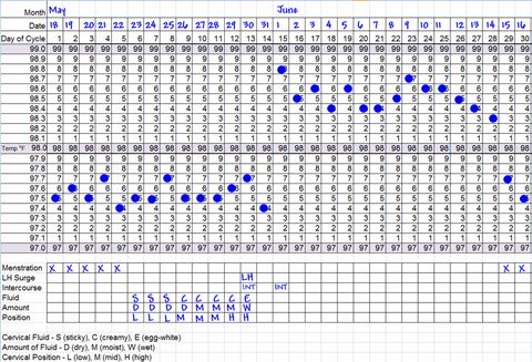 BBT Charting Example